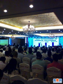 龍華金貿(mào)易登網(wǎng) 文藝演出與慶典活動策劃全解析