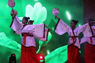 溫泉中學(xué)隆重舉辦70周年慶典文藝演出暨頒獎晚會 組圖