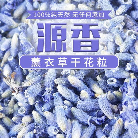 金昌特產(chǎn) 薰衣草干花粒 凈化空氣 清心助眠 大自然的氣息撲面而來 香氣持久 國內(nèi)包郵圖片大全 郵樂官方網(wǎng)站