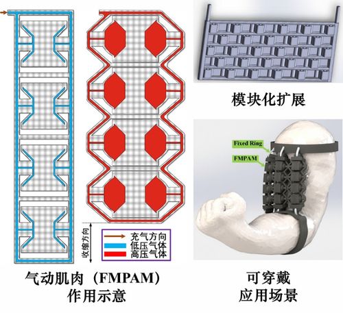 天津大學(xué)提出模塊化柔性驅(qū)動新方法,可用于人工肌肉和管道機器人